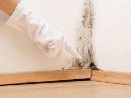 Best Residential Mold Inspection & Testing  in Fowlerville, MI